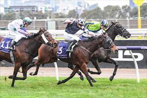 YOUNG WERTHER BREAKS DROUGHT
